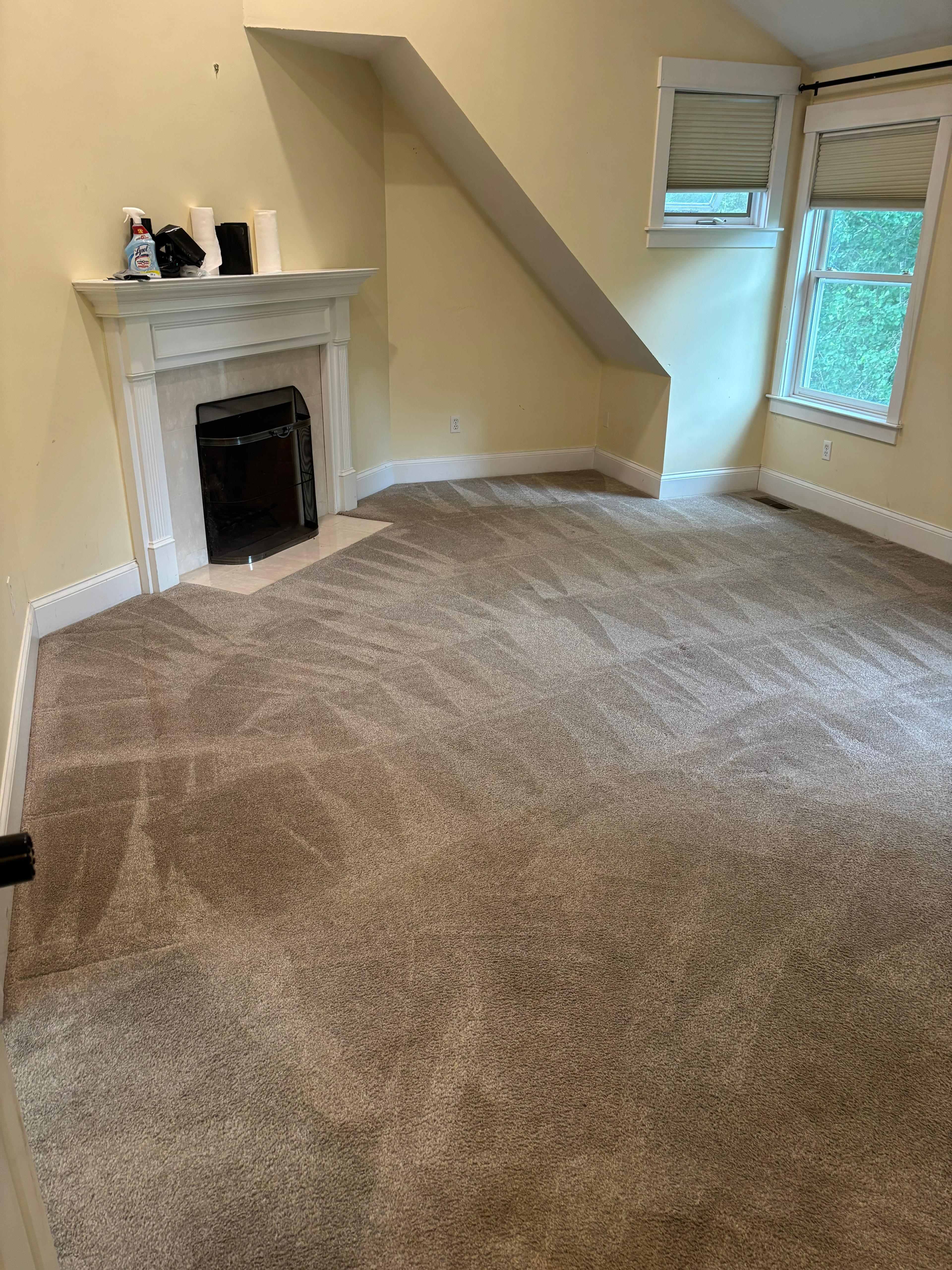 Professional carpet cleaning in action